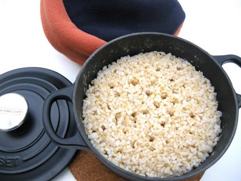 cuisson riz cocotte fonte